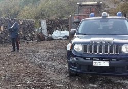Venafro. Furto di legna: i Carabinieri denunciano sette persone tra titolari e dipendenti di un’impresa boschiva.