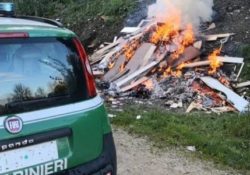 Venafro / Isernia. Carabinieri Forestali hanno denunciato una persona in stato di libertà per combustione illecita di rifiuti.