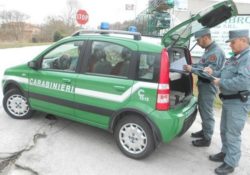 Caserta / Provincia. Carabinieri Forestale sequestrano autocarro per trasporto illecito rifiuti speciali e sanzionano trasportatori irregolari.