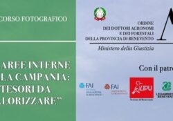 Sannio / Conoscere il territorio e la sua identità territoriale: Concorso Fotografico promosso dall’Ordine Dottori Agronomi e Forestali provincia di Benevento.