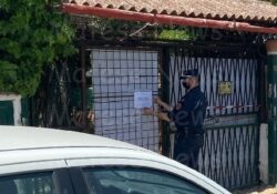 Caserta / Provincia. Problematiche ambientali ed igienico – sanitarie: Carabinieri sequestrano struttura detenzione animali da compagnia.