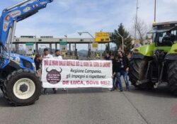 Caserta / Provincia. Brucellosi, Zinzi: “De Luca ascolti gli allevatori”, che intanto bloccano l’autostrada A1.