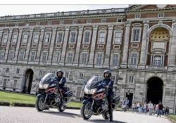 Caserta / Provincia. Festività in sicurezza: servizio preventivo dei reparti speciali dei carabinieri alla Reggia.