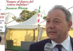 Caserta / Provincia. Eradicazione brucellosa, la nota di Oliviero alle Commissioni Sanità e Agricoltura: “Si dia seguito alle decisioni del Consiglio Regionale”.