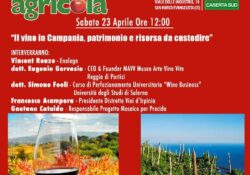 ALIFE / SAN MARCO EVANGELISTA. “Il vino in Campania, patrimonio e risorsa da custodire: l’evento a “FieraAgricola” con l’enologo alifano Vincent Renzo.