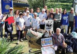 Caserta / Provincia. WWF Caserta: una settimana nelle scuole dedicata ai nostri amici alberi.