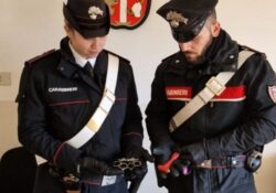 Caserta / Provincia. 5 persone denunciate dal servizio straordinario di controllo del territorio.