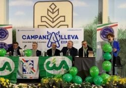 Sannio / Zootecnia di precisione e Pac, il workshop Cia Campania: tracciata la road map per la nuova programmazione.