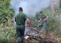 ROCCAMONFINA / SESSA AURUNCA. Fumo all’interno del Parco Regionale di Roccamonfina, fiamme spente dalle Guardie Giurate WWF.