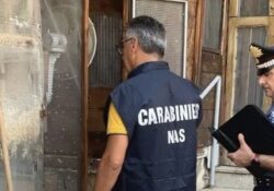 VITULAZIO. Animali detenuti in pessime condizioni e possesso ingiustificato di barbiturici: denunciato il responsabile di un centro veterinario e sequestrata la struttura.