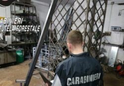 Caserta / Provincia. Violazioni ambientali, laboratorio lavorazione metalli sequestrato dai Carabinieri Forestale.