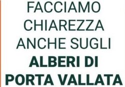 PIEDIMONTE MATESE. “Facciamo chiarezza anche sugli alberi di Porta Vallata”: la nota di “Progetto Piedimonte”.