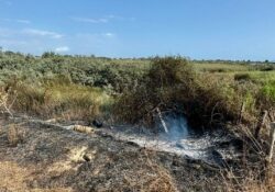 Caserta / Provincia. Incendio devasta Baia Verde e minaccia l’Oasi dei Variconi: rapidamente divorata la macchia mediterranea…