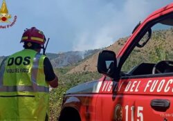 Venafro. Incendio nella parte alta della montagna denominata “Le Noci”: sul posto i Vigili del Fuoco. FOTO e VIDEO.