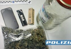 Carinola / Sessa Aurunca. Piante di marjuana in giardino, 23enne denunciato dalla Polizia di Stato.